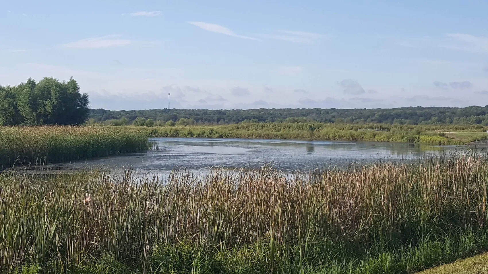 John Bunker Sands Wetland Center in Forney, TX