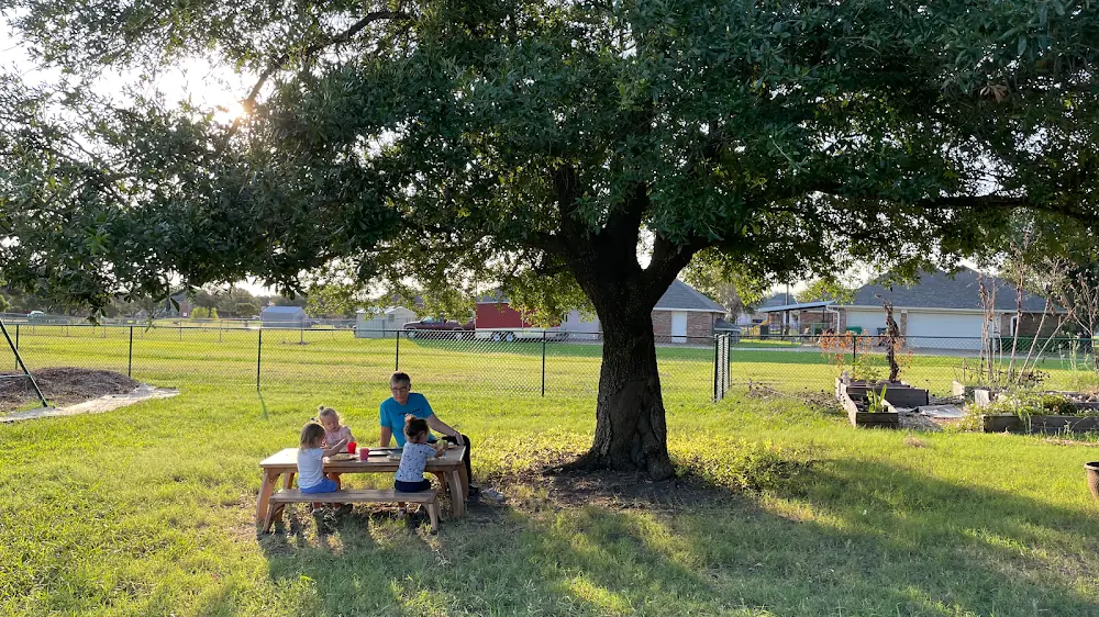 Little Pinecones in Forney, TX