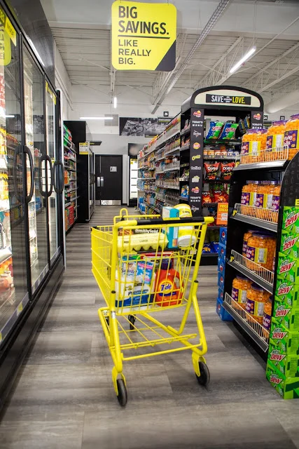 Dollar General (FM 741) photo