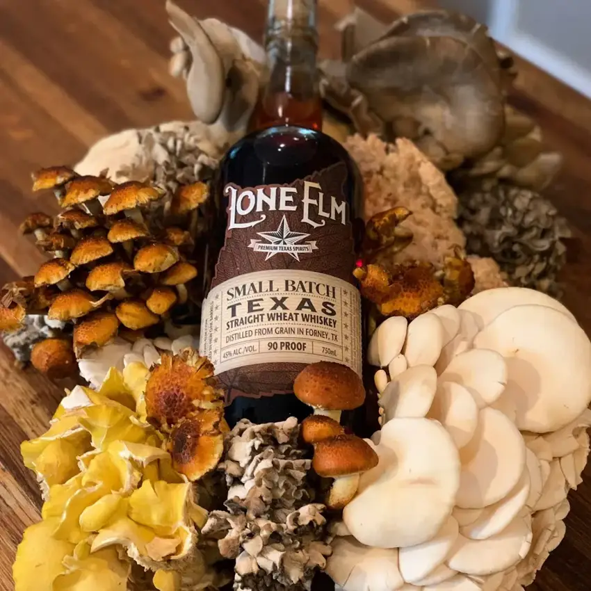 Five Points Distilling photo