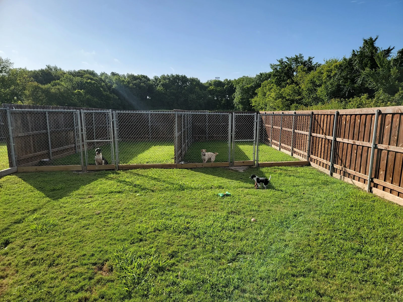 Forney Animal Shelter photo