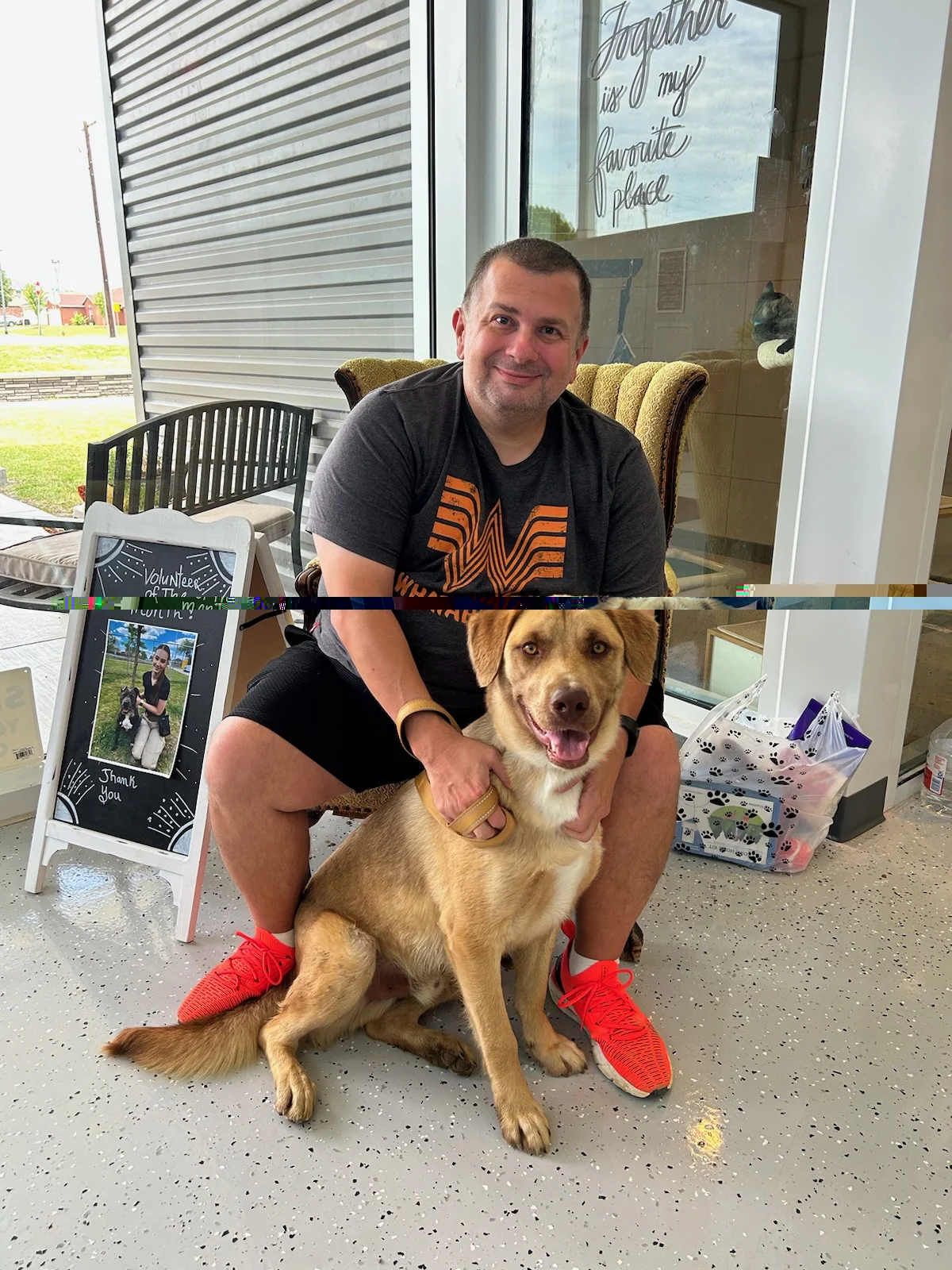 Forney Animal Shelter photo