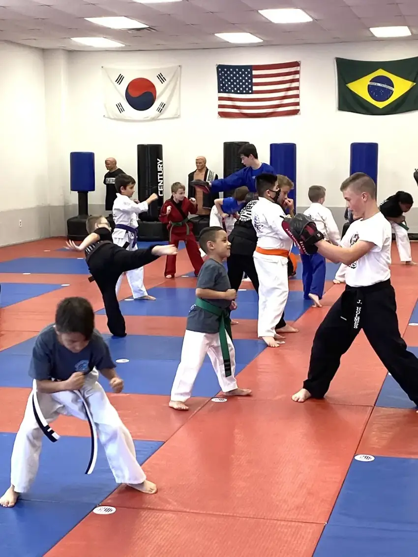 International Karate & Self-Defense photo