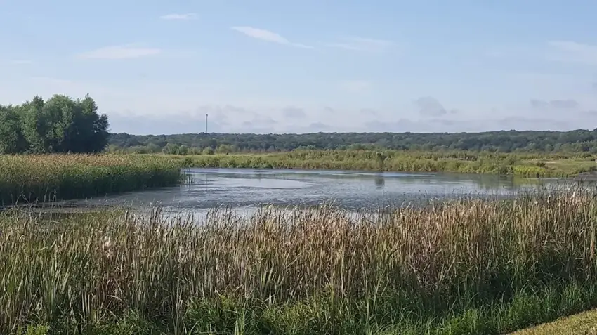 John Bunker Sands Wetland Center photo