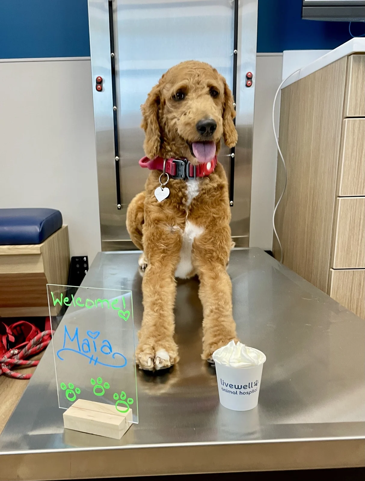Livewell Animal Hospital