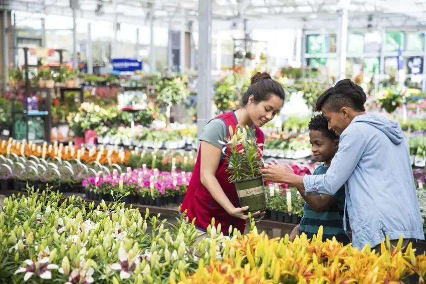 Lowe's photo