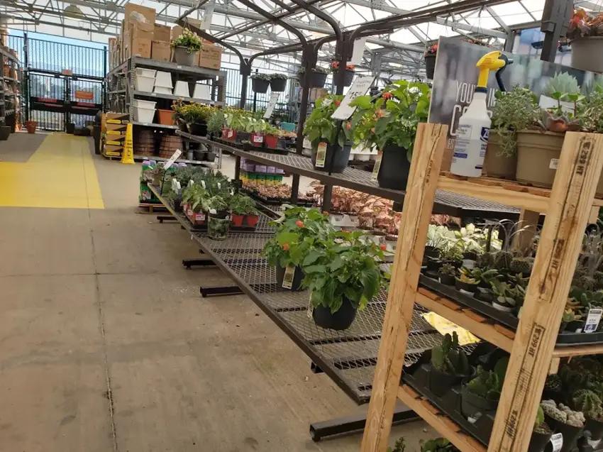 Lowe's photo