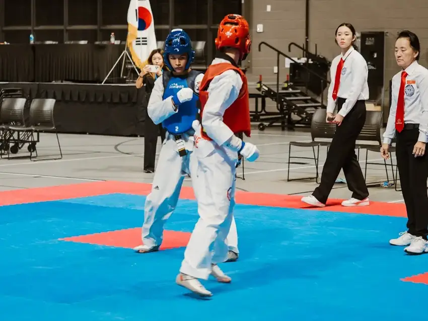 Master Lee's Taekwondo photo