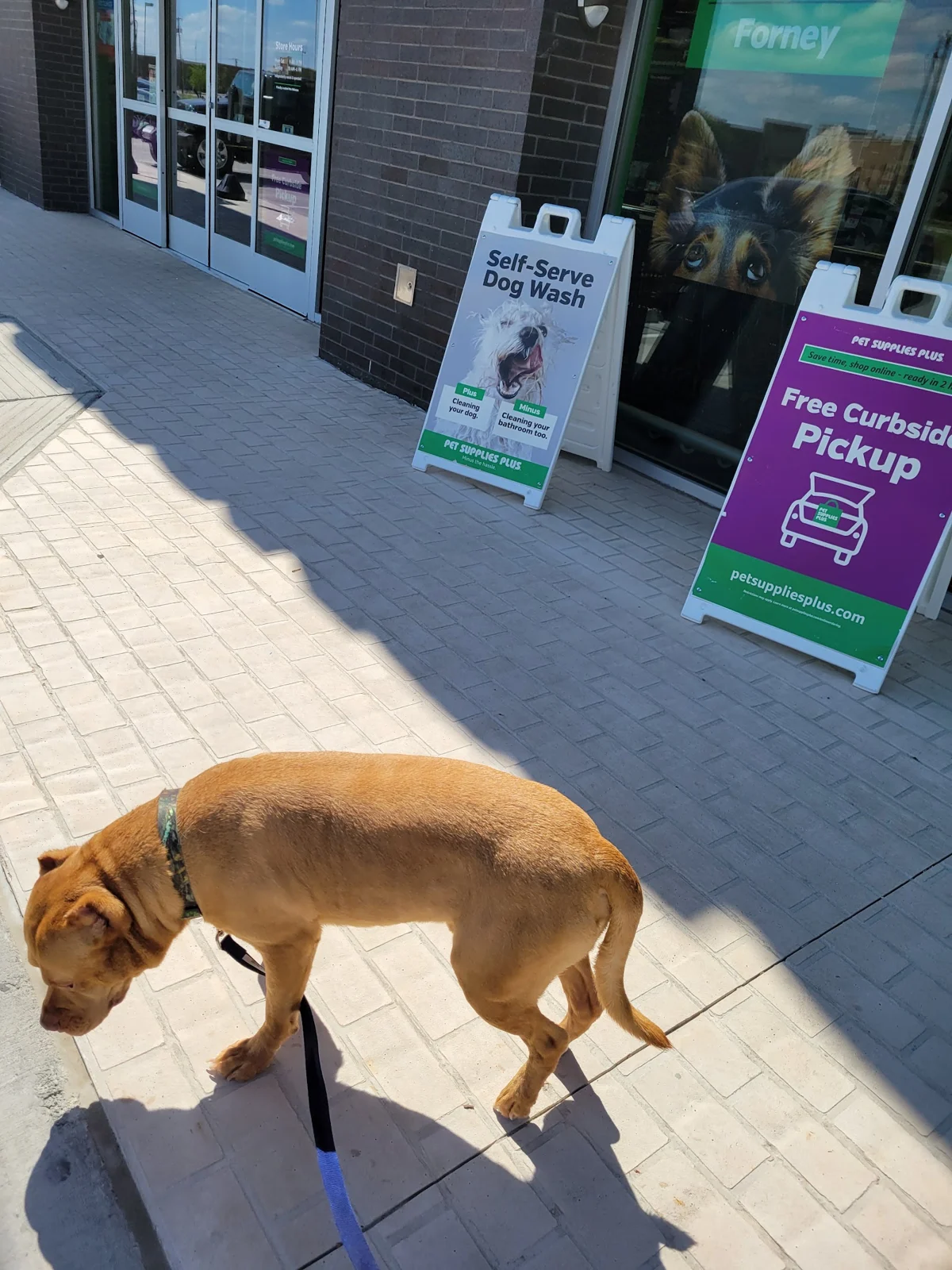 Pet Supplies Plus in Forney, Texas
