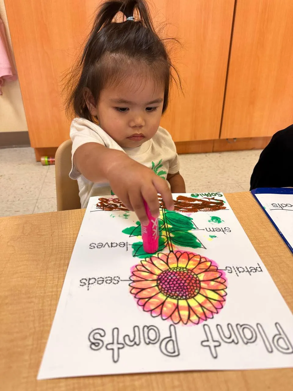 Pinnacle Montessori of Forney photo