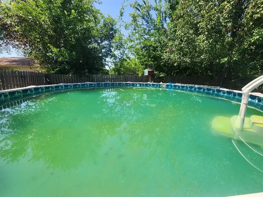 Sunshine Pools photo