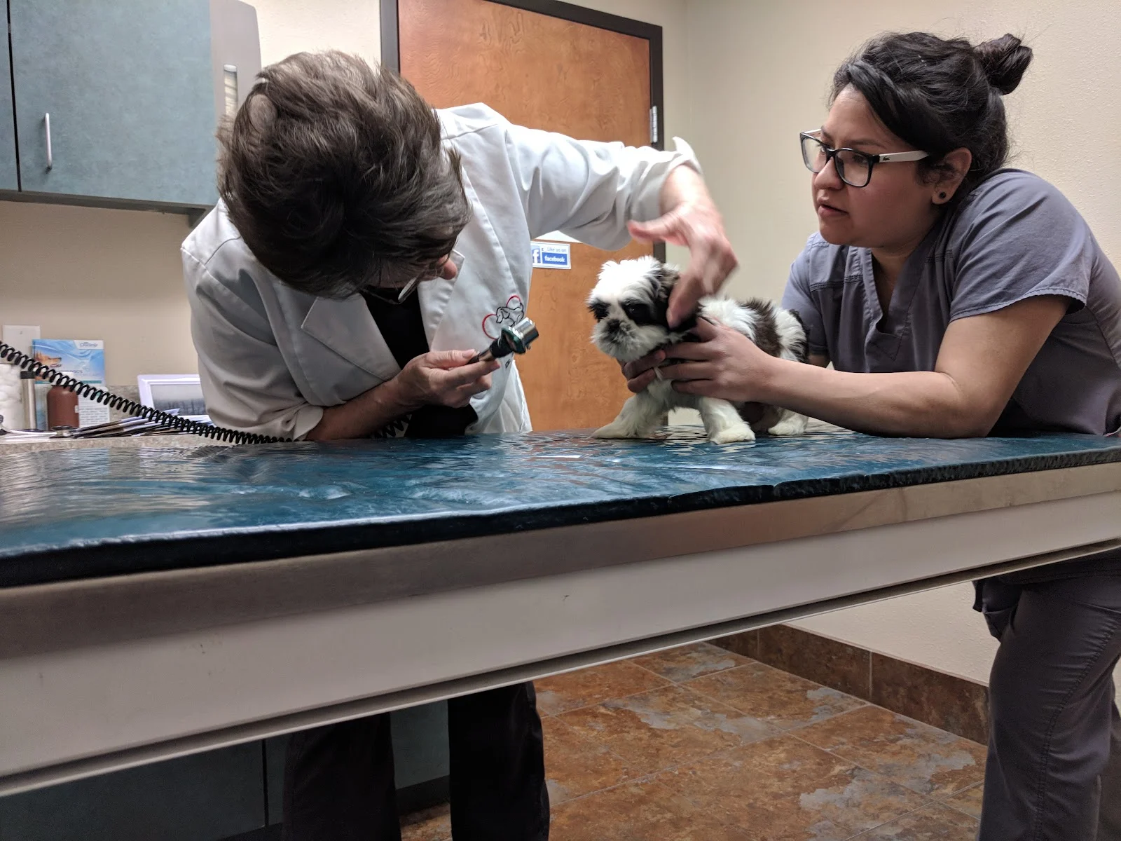 VCA Forney Animal Hospital photo