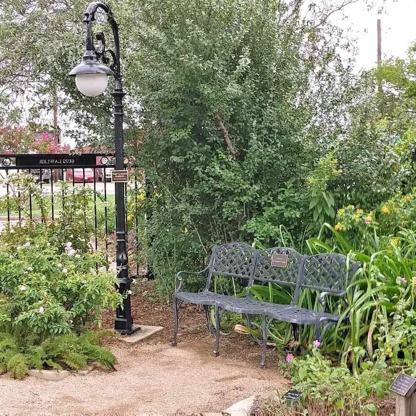 Xeric Garden photo