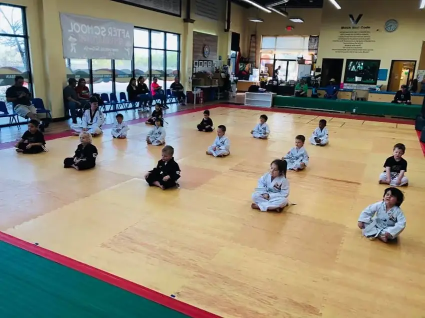 Young's White Tiger Martial Arts photo
